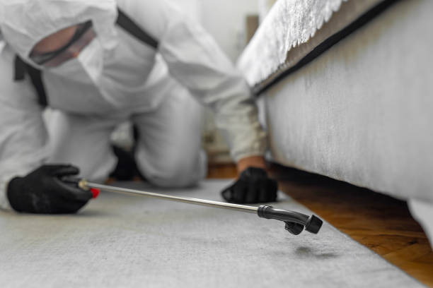 Professional Termite Control technician working in Noblesville, IN