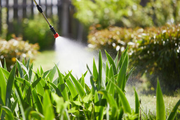 24/7 Emergency Termite Control experts in Noblesville, IN