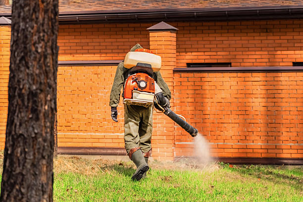 Trusted Termite Control service in Noblesville, IN - Nex Pest Control